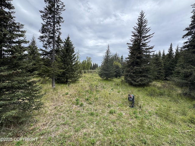 67461 Kiana Dr, Ninilchik, AK 99639 - photo 2