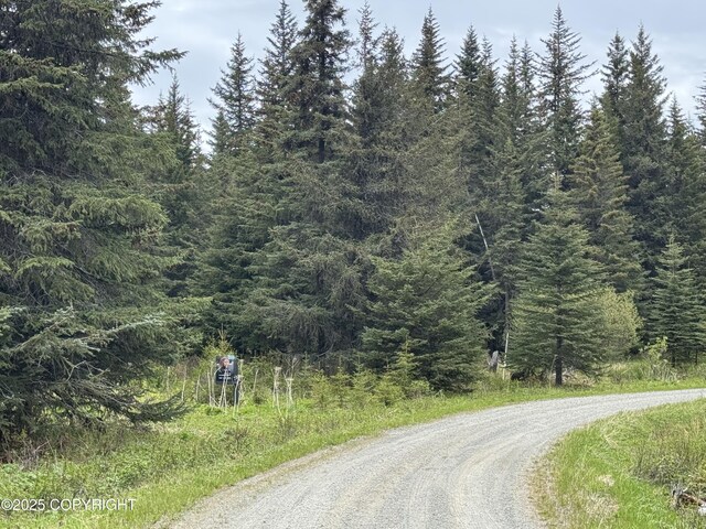 67461 Kiana Dr, Ninilchik, AK 99639 - photo 7
