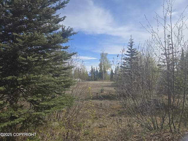 7503 S Knik Goose Bay Rd, Wasilla, AK 99654