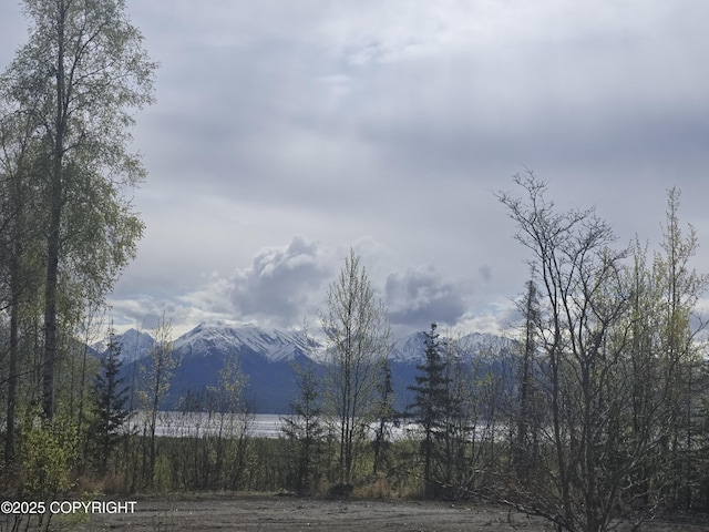 7503 S Knik Goose Bay Rd, Wasilla, AK 99654