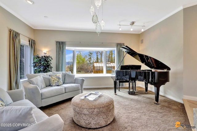 carpeted living area featuring baseboards, crown molding, and rail lighting