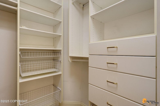 view of spacious closet