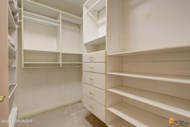 spacious closet with carpet flooring