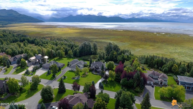 aerial view of residential area with a water and mountain view