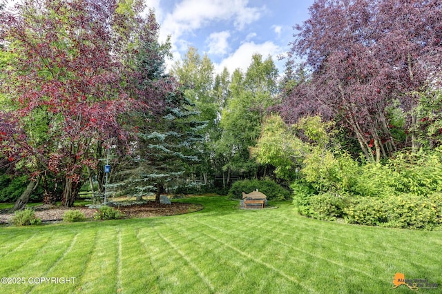 view of green lawn