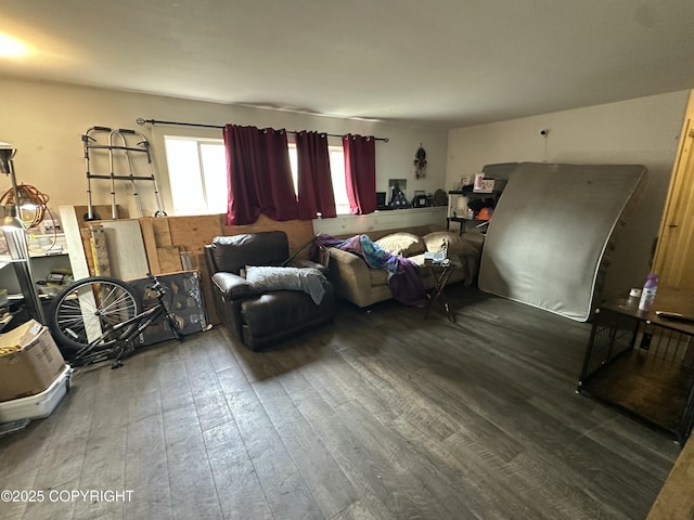 living room featuring hardwood / wood-style floors