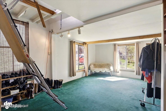 exercise room with carpet floors and rail lighting