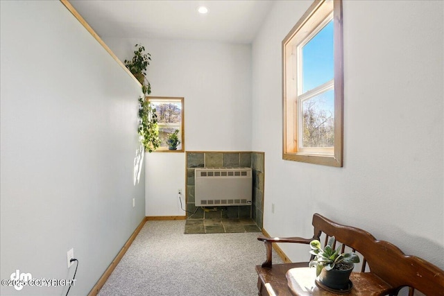 doorway with carpet, baseboards, and heating unit