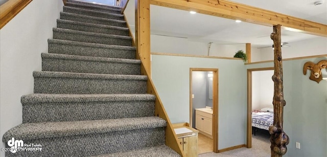staircase featuring ceiling fan and carpet floors