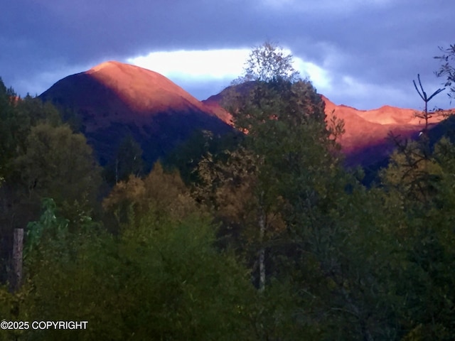view of mountain backdrop with a heavily wooded area