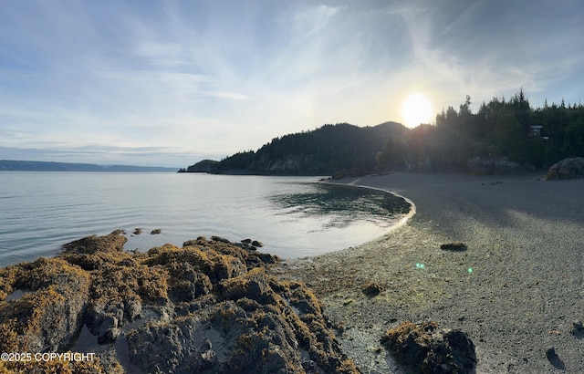 000 Kachemak Bay, Remote, AK 99603 - photo 8