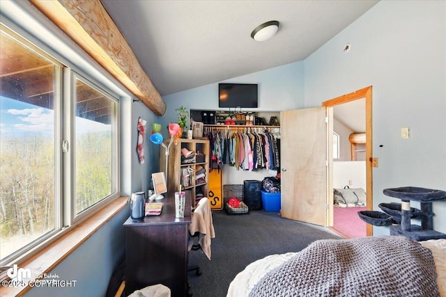 bedroom with lofted ceiling, carpet, a closet, and an office area