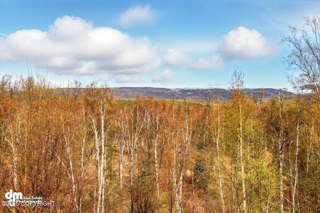 view of woods