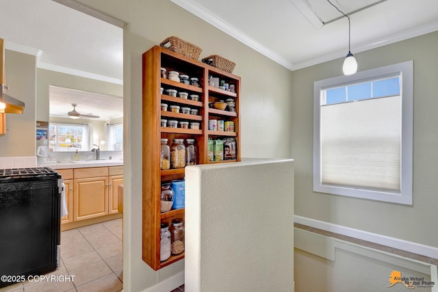 1008 Cordova St, Anchorage, AK 99501 - view of storage area