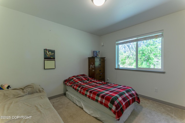 876 Lupine Ct, Homer, AK 99603 - bedroom featuring carpet floors and baseboards
