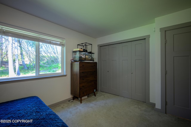 876 Lupine Ct, Homer, AK 99603 - carpeted bedroom featuring baseboards and a closet