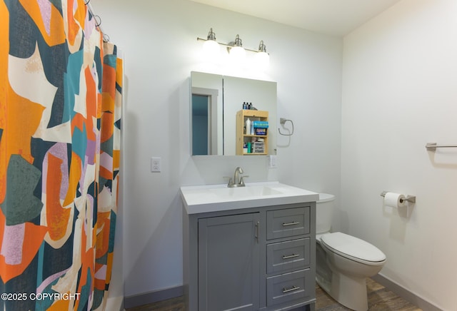 876 Lupine Ct, Homer, AK 99603 - full bath with toilet, vanity, baseboards, a shower with shower curtain, and wood finished floors