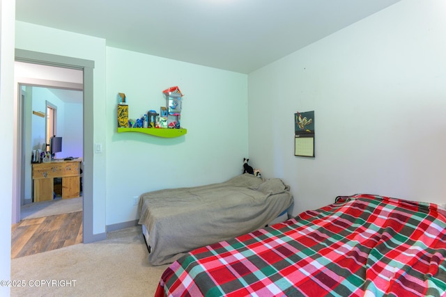 876 Lupine Ct, Homer, AK 99603 - view of carpeted bedroom