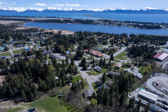 876 Lupine Ct, Homer, AK 99603 - aerial view of property's location featuring a water and mountain view