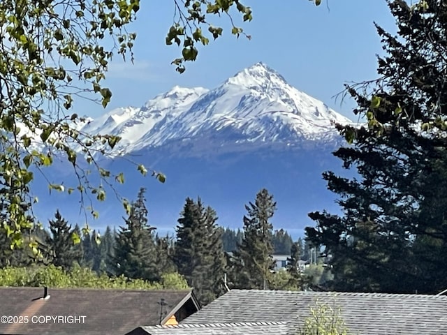 876 Lupine Ct, Homer, AK 99603 - mountain view