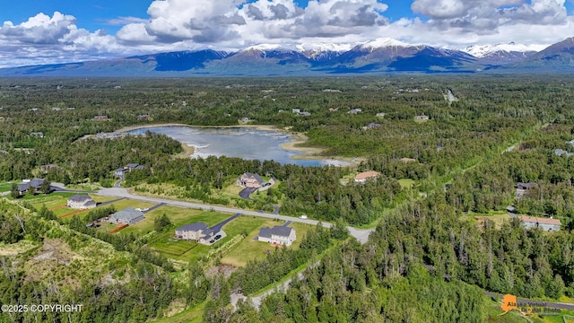 10588 E Nighthawk Cir, Palmer, AK 99645 - aerial view of a heavily wooded area and a water and mountain view