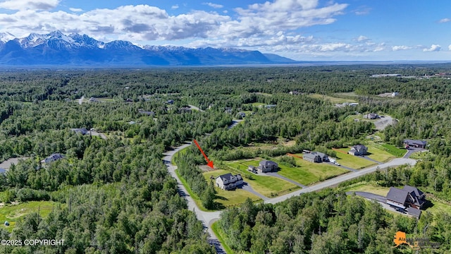 10588 E Nighthawk Cir, Palmer, AK 99645 - aerial view of a heavily wooded area and mountains