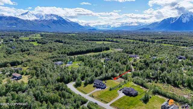 10588 E Nighthawk Cir, Palmer, AK 99645 - aerial view of a heavily wooded area and a mountainous background