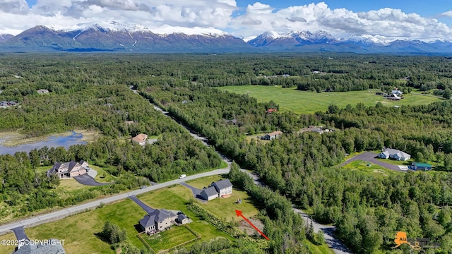 10588 E Nighthawk Cir, Palmer, AK 99645 - drone / aerial view of a heavily wooded area and a mountainous background