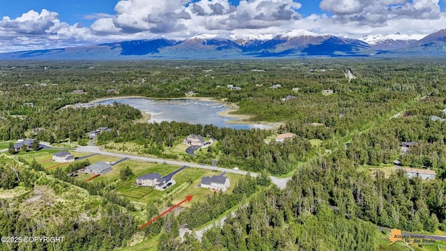 10588 E Nighthawk Cir, Palmer, AK 99645 - aerial view of a water and mountain view and a forest