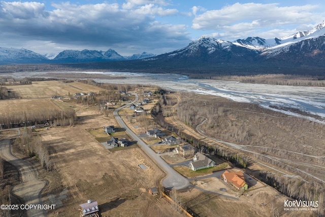 1100 S Mary St, Palmer, AK 99645 - photo 4