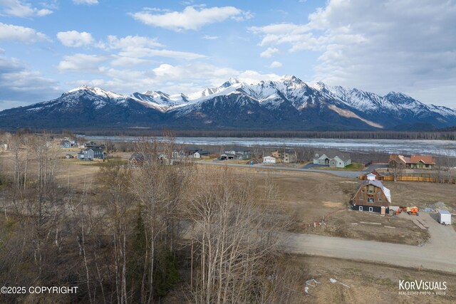 1100 S Mary St, Palmer, AK 99645 - photo 3