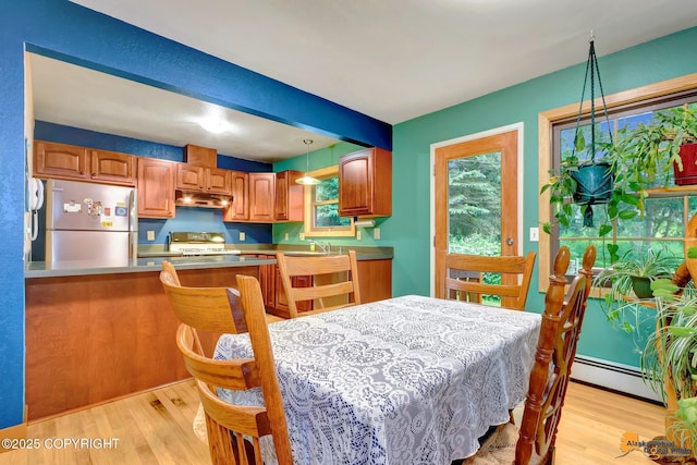 11721 Wranglers Way, Anchorage, AK 99516 - dining space with a baseboard radiator, light wood-style floors, and beam ceiling