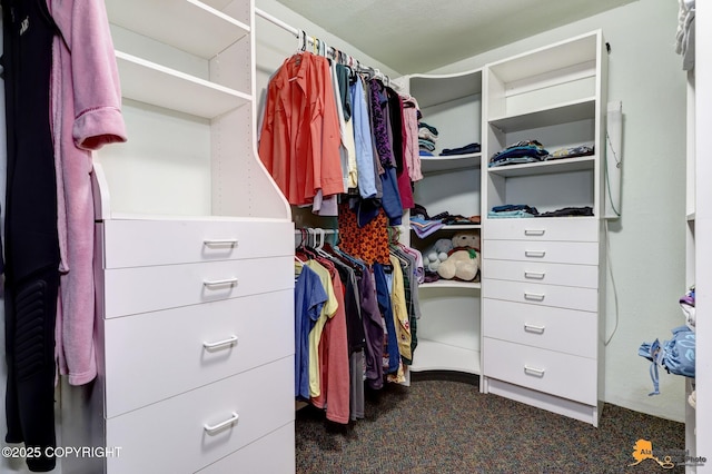 11721 Wranglers Way, Anchorage, AK 99516 - spacious closet featuring dark colored carpet