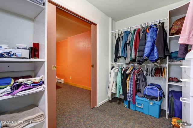 11721 Wranglers Way, Anchorage, AK 99516 - walk in closet with carpet flooring and a baseboard radiator