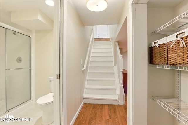 staircase with wood finished floors and baseboards