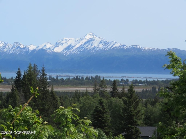 2340 E End Rd, Homer, AK 99603 - view of mountain background with a large body of water