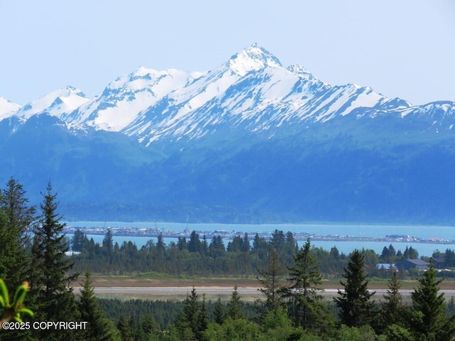 2340 E End Rd, Homer, AK 99603 - mountain view