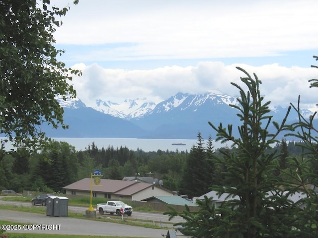 2340 E End Rd, Homer, AK 99603 - mountain view with a forest