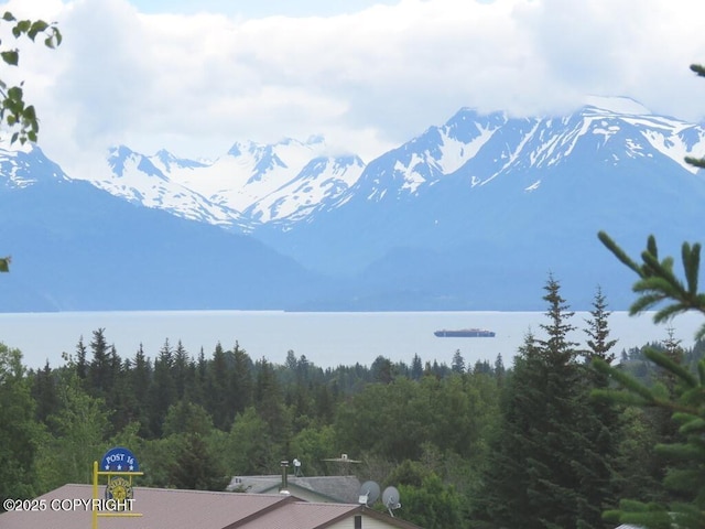 2340 E End Rd, Homer, AK 99603 - view of mountain backdrop featuring a forest
