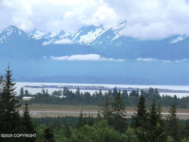 2340 E End Rd, Homer, AK 99603 - water view with a heavily wooded area