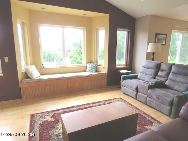 2340 E End Rd, Homer, AK 99603 - living room featuring wood finished floors and vaulted ceiling