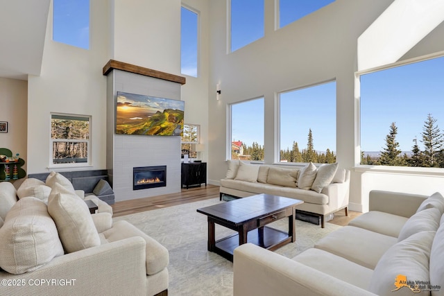 8236 Byron Dr, Anchorage, AK 99516 - living area with a towering ceiling, a glass covered fireplace, light wood finished floors, and baseboards