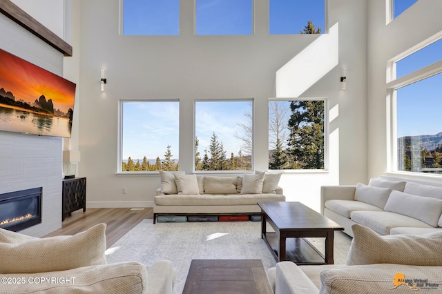 8236 Byron Dr, Anchorage, AK 99516 - living area featuring a high ceiling, wood finished floors, a fireplace, and baseboards