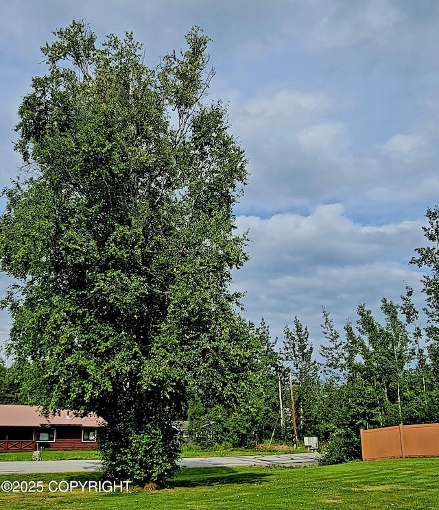 981 E Susitna Dr, Wasilla, AK 99654 - view of property's community featuring a lawn