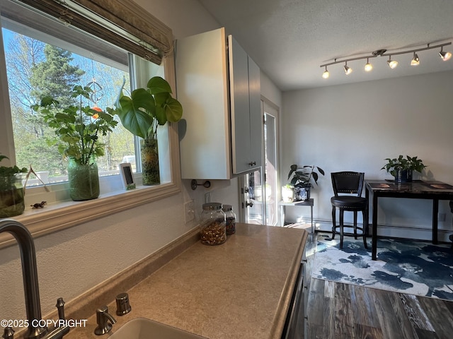 981 E Susitna Dr, Wasilla, AK 99654 - kitchen with baseboard heating, dark wood finished floors, and a textured ceiling