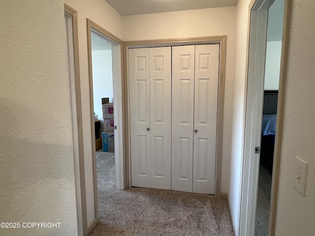 981 E Susitna Dr, Wasilla, AK 99654 - hall featuring carpet floors and a textured wall