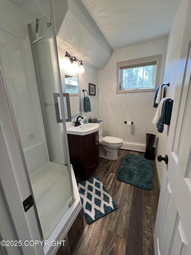981 E Susitna Dr, Wasilla, AK 99654 - full bath with a stall shower, wood finished floors, vanity, and toilet