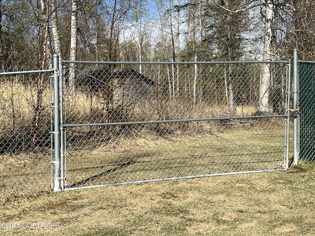 981 E Susitna Dr, Wasilla, AK 99654 - gate with fence