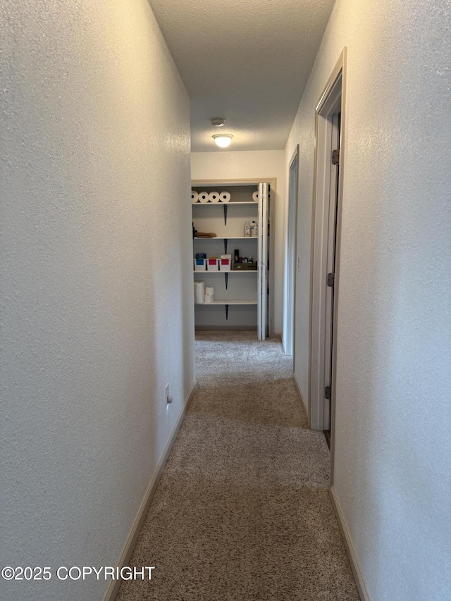 981 E Susitna Dr, Wasilla, AK 99654 - hallway featuring carpet and a textured wall