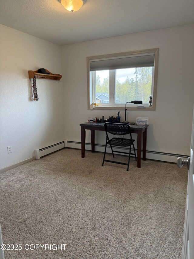981 E Susitna Dr, Wasilla, AK 99654 - home office featuring carpet floors and baseboards
